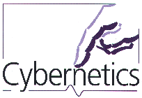 Reading Uni Cybernetics logo